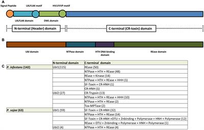 A Perspective on CRN Proteins in the Genomics Age: Evolution, Classification, Delivery and Function Revisited